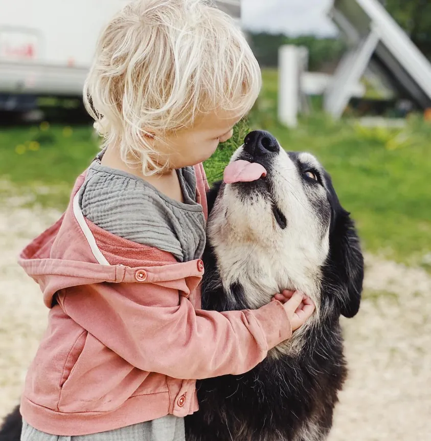 A child embracing the family dog on the farm