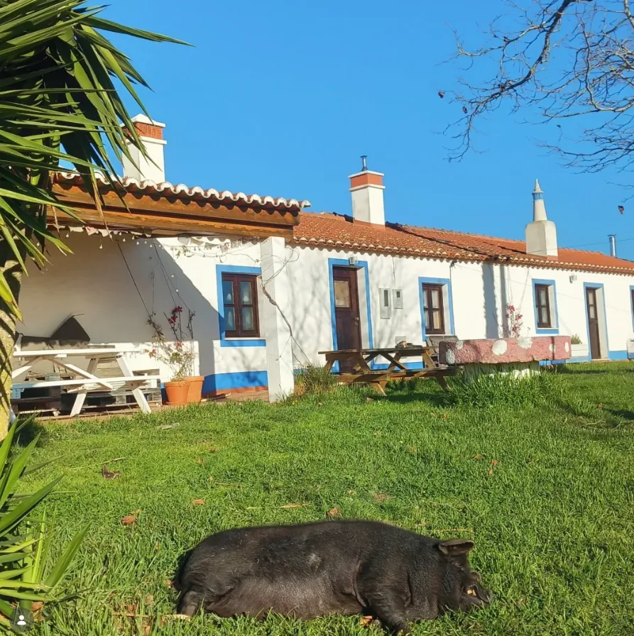 Stay with us at the Quinta